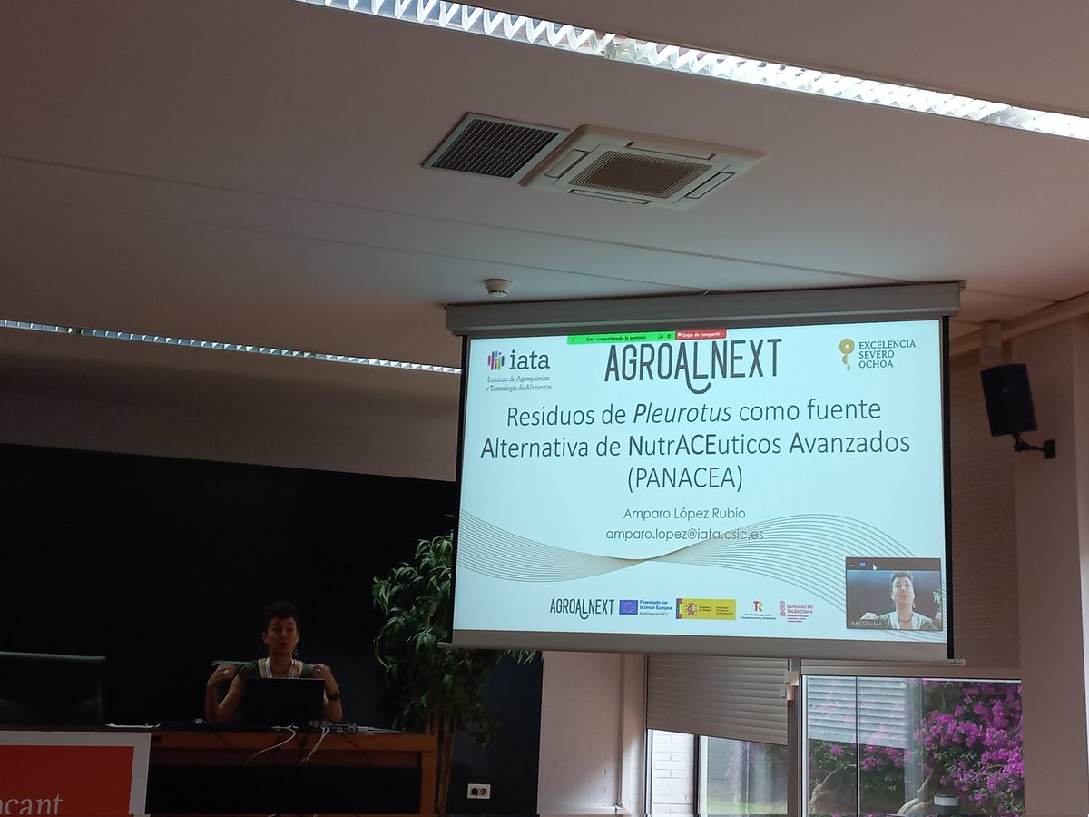 Amparo López-Rubio del <a href="/iata_csic/">IATA CSIC</a> presenta los avances del proyecto PANACEA sobre #valorización de setas de la convocatoria <a href="/agroalnext_GVA/">AGROALNEXT_GVA PPCC Agroalimentación</a> en colaboración con <a href="/mcarmen_collado/">MCarmen Collado</a> en la <a href="/UA_Universidad/">Universidad de Alicante UA</a> #agroalnext
