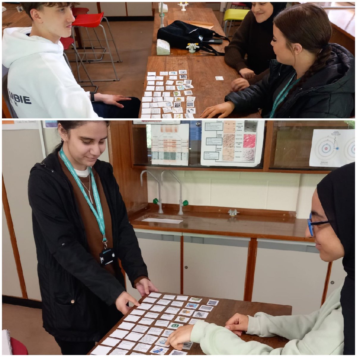tsc_science's tweet image. Dr Smethursts Year 12 doing a revision card sort as preparation for their PPE