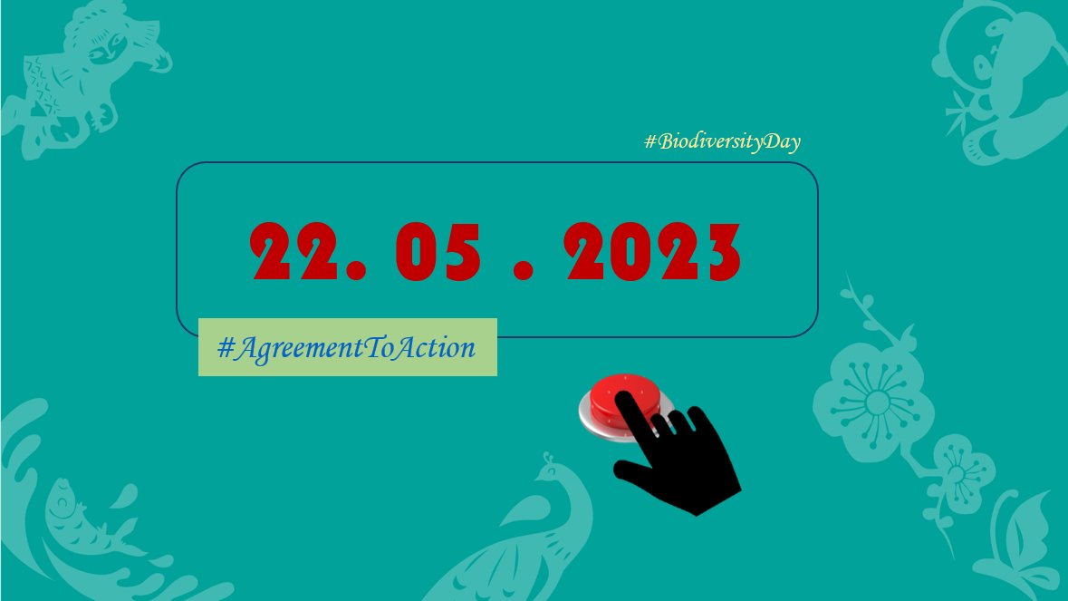 📢Time to go from agreement to action
#BuildBackBiodiversity
#BiodiversityDay
#AgreementToAction
#KMGBF
#HarmonyWithNature
#ActionDecade
#Post2020
يوم_للتنوع_البيولوجي#