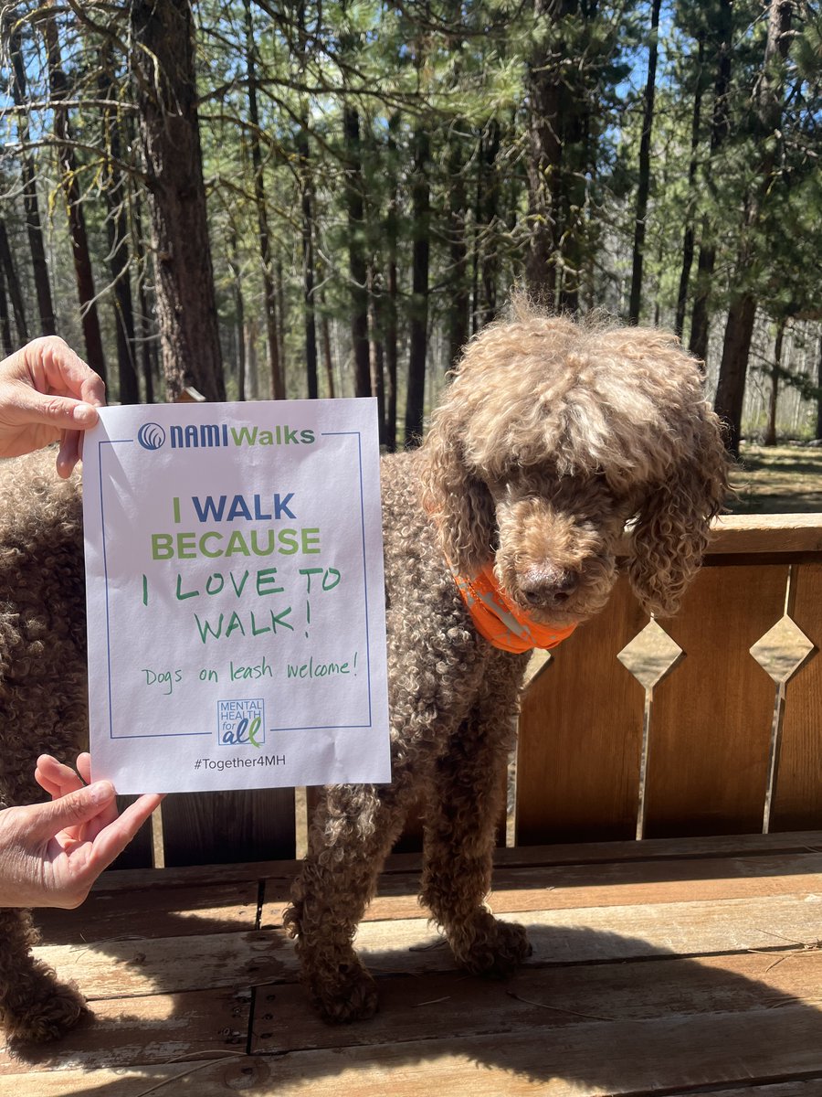 Why do you walk? Coco walks because he loves to walk!
NAMIWalks.org/CentralOregon 
Saturday, May 20, 9-11 AM
American Legion Community Park
850 SW Rimrock Way, Redmond, OR 97756
#NAMIWalks #Together4MH