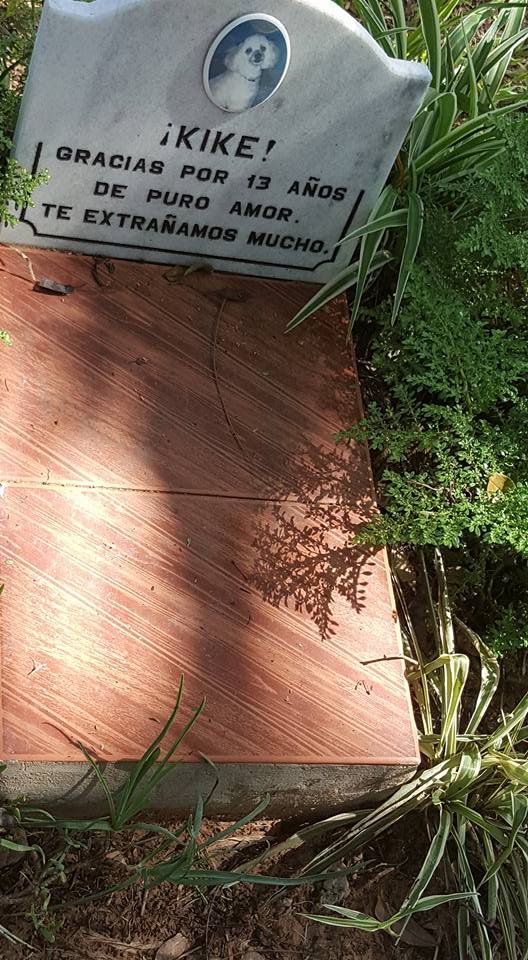 Alguien de ustedes sabía la existencia de un cementerio de mascotas en Paraguay? Bueno, yo me acabo de enterar y se llama Cangapolis y esta ubicado en la ciudad de Limpio.