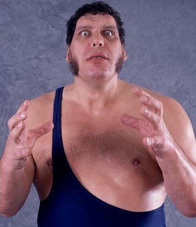 Happy Birthday, Andre The Giant  
