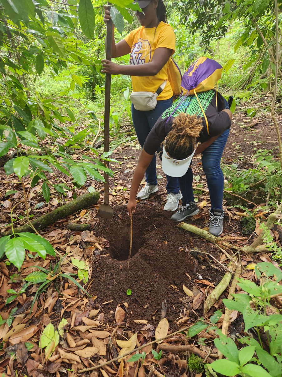 pvgoesglobal's tweet photo. @pvamu students on a natural resource conservation trip abroad in the Galápagos Islands explored a coffee farm. They delved into the coffee making process, farm to table, and conducted soil health and water quality assessments. https://t.co/OhY29R4oML