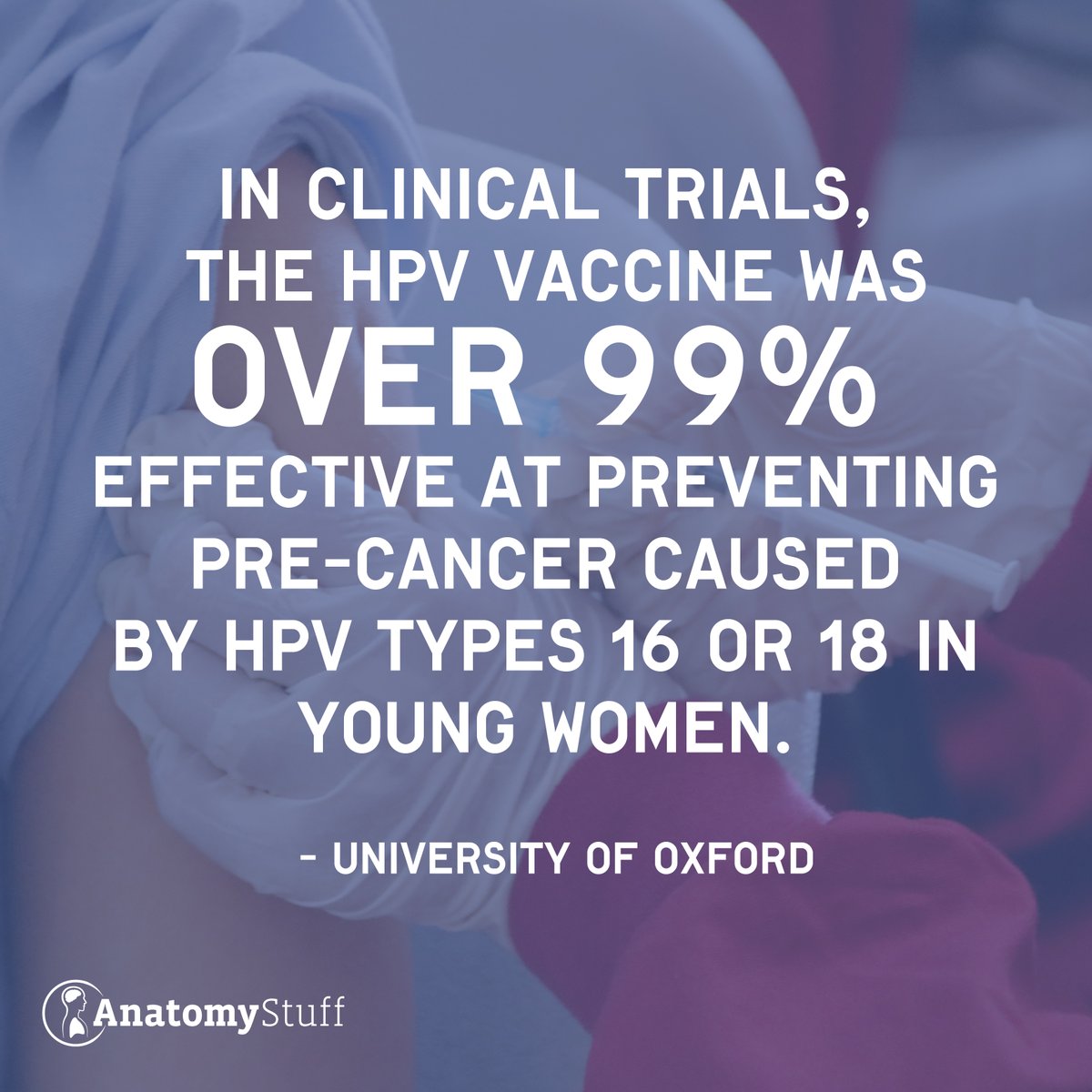 AnatomyStuff tweet media