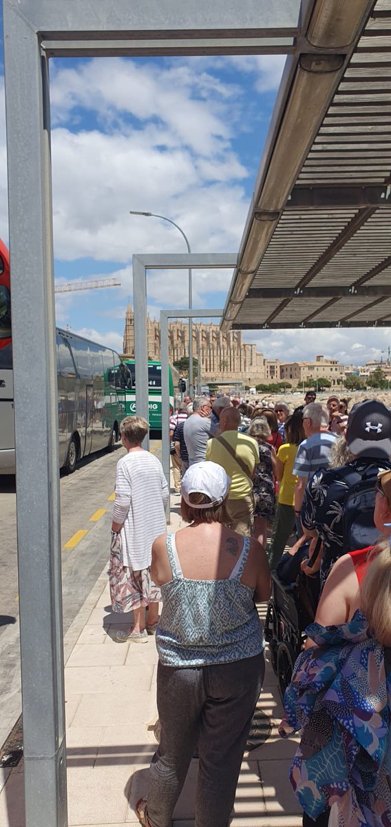 emmaelton's tweet image. Not quite sure "This is the life..." @pandocruises,  1hr 28min queue for a shuttle bus to get back to Arvia in Palma today (or a 3.7 mile walk with a toddler...). I know we're British and good at queuing, but this was ridiculous. #pocruises #thisisthelife #arvia #cruise #queue