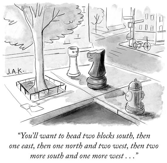 Jelena Lagger tweet media