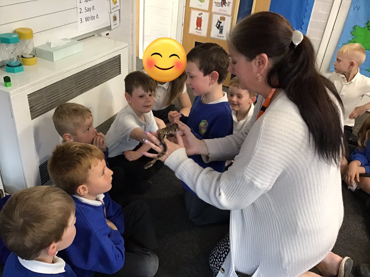 Grimoldby_Y4's tweet image. We had a very special visitor to Year One this afternoon - Max the Royal Python 🐍 We had lots of good questions and found out lots of interesting facts 🐍 #respect #royalpython