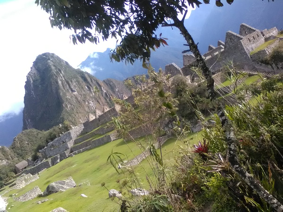 Wiiki1122's tweet photo. Imponente MachuPicchu https://t.co/8MLlc5tY06