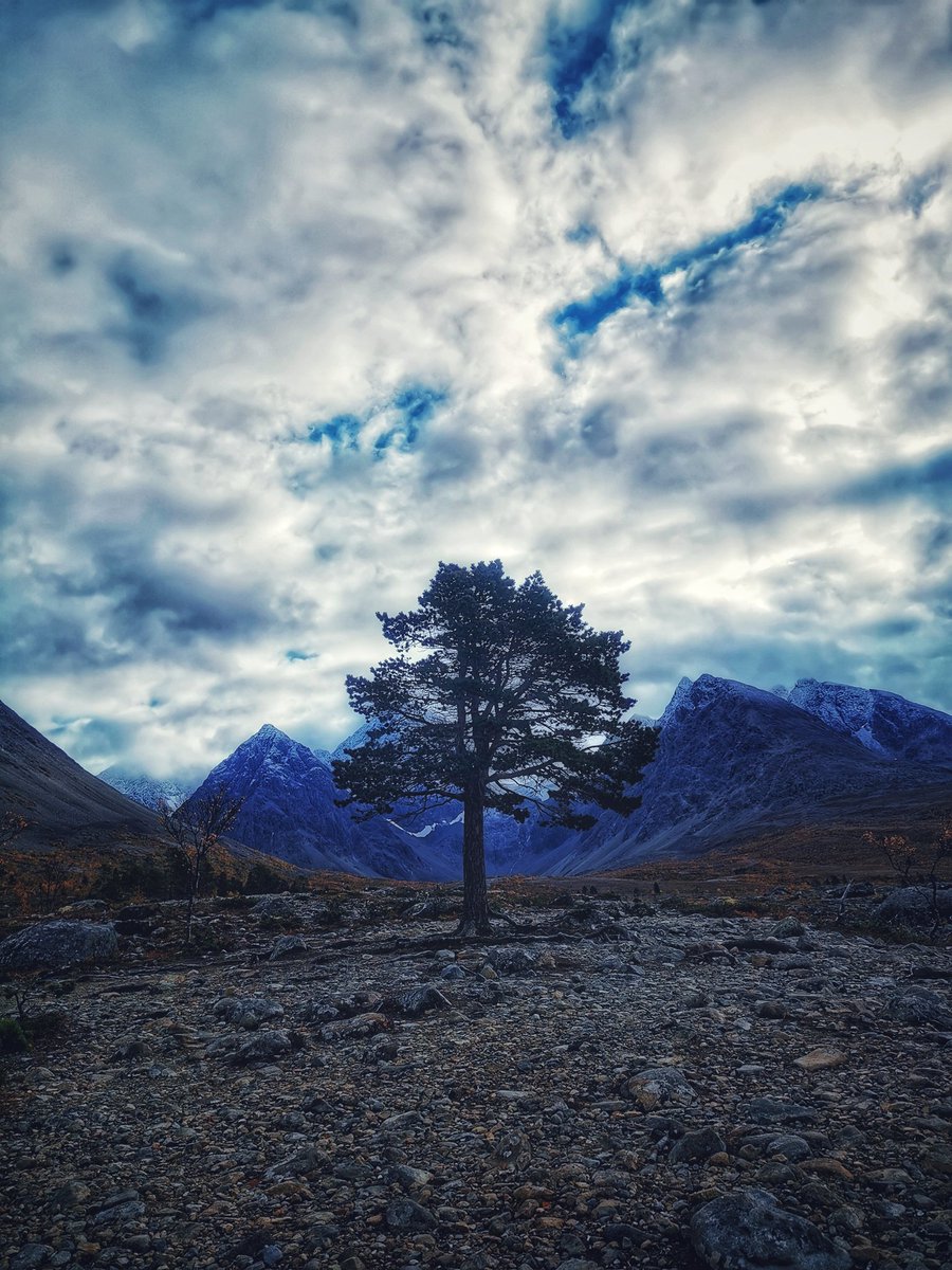 Hello everyone!👋

Share your Tree photos below🌳

Please retweet this post to get more exposure🔄

thank you! 😀

#photography #PhotographyIsArt #tree