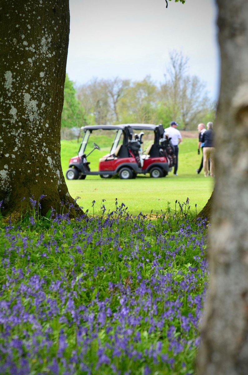 When it comes to the 3rd green we recommend you take your eye off your ball to admire the carpet of bluebells! 

#springtime #bluebells #nature #countryside #golf #golfuk #golflife #golfcourse #wiltshiregolf #bcorp #themanorhousegolfclub #golfmembership #golfbreak