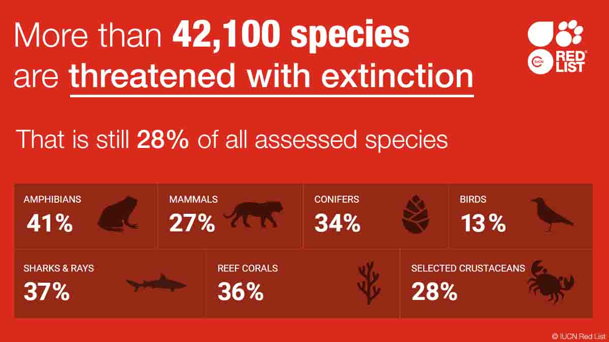 The number of assessed species on the <a href="/IUCNRedList/">IUCN Red List</a> is now 150,388, with over 42,00 threatened with #extinction.

This #EndangeredSpeciesDay, learn more about their status and what can be done ow.ly/K7x250zGZcL