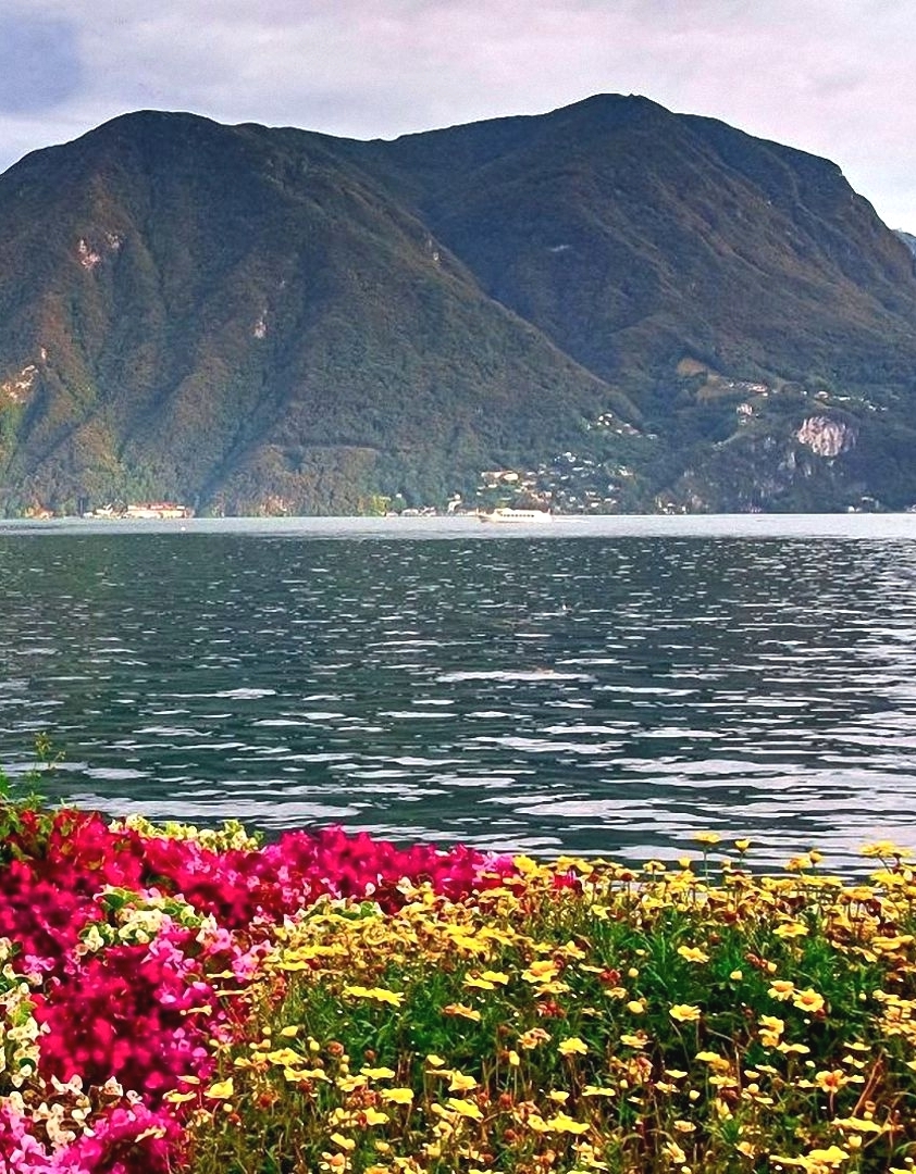 Spring flowers at Lake Como in Lombardy's Alps, Italy 🇮🇹