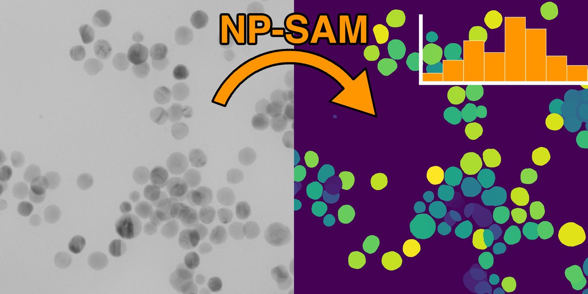 DISORDERGroup's tweet photo. Perhaps you have counted your last nanoparticle? NP-SAM performs automatic nanoparticle segmentation so you can avoid mouse arm syndrome. #nanoparticles #segmentation #electron #microscopy #disorder

Read the paper here: https://t.co/lhcuuAK7Nt

GitLab: https://t.co/l15zeIMo1g https://t.co/9NPartq8wC