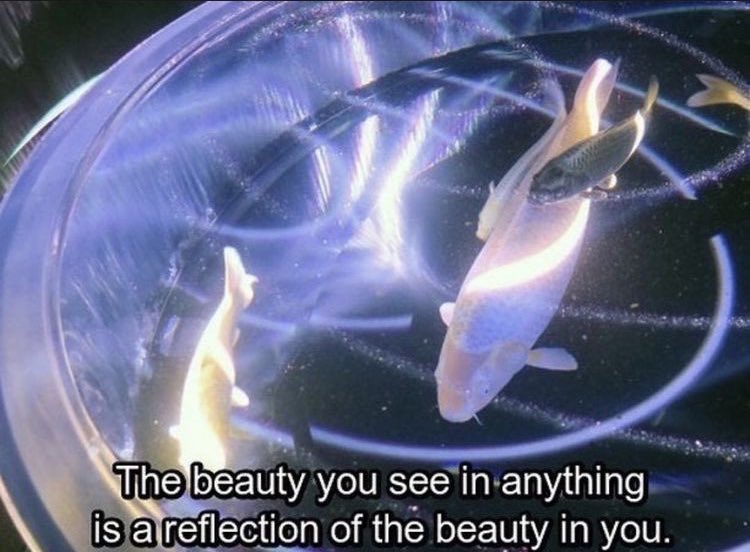 ⛲️. ˙ ◌ 𓈒 ׁ 𓇼