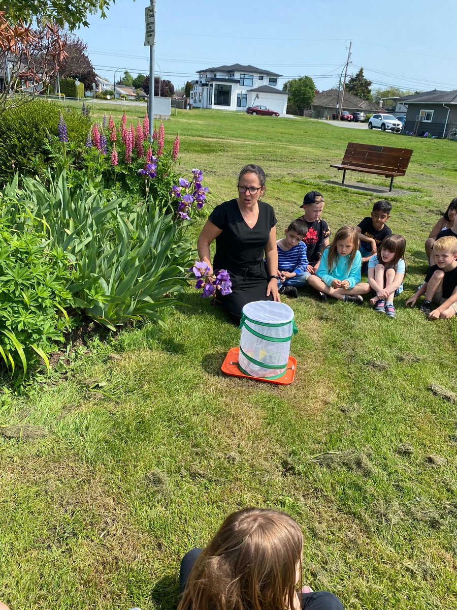 HollySchool's tweet photo. Perfect day to release our Praying mantis! @deltasd37 #gradeonelearning🐝💛 https://t.co/ivLcyHmhWS
