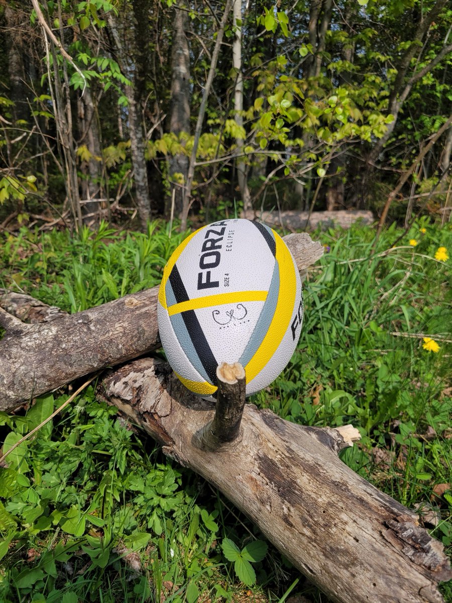 Amazing Collaboration by Ms Gray NMS Wәlastәkwey Latowewakәn Teacher and NMS teacher and Dragons RFC coach Mr Lister