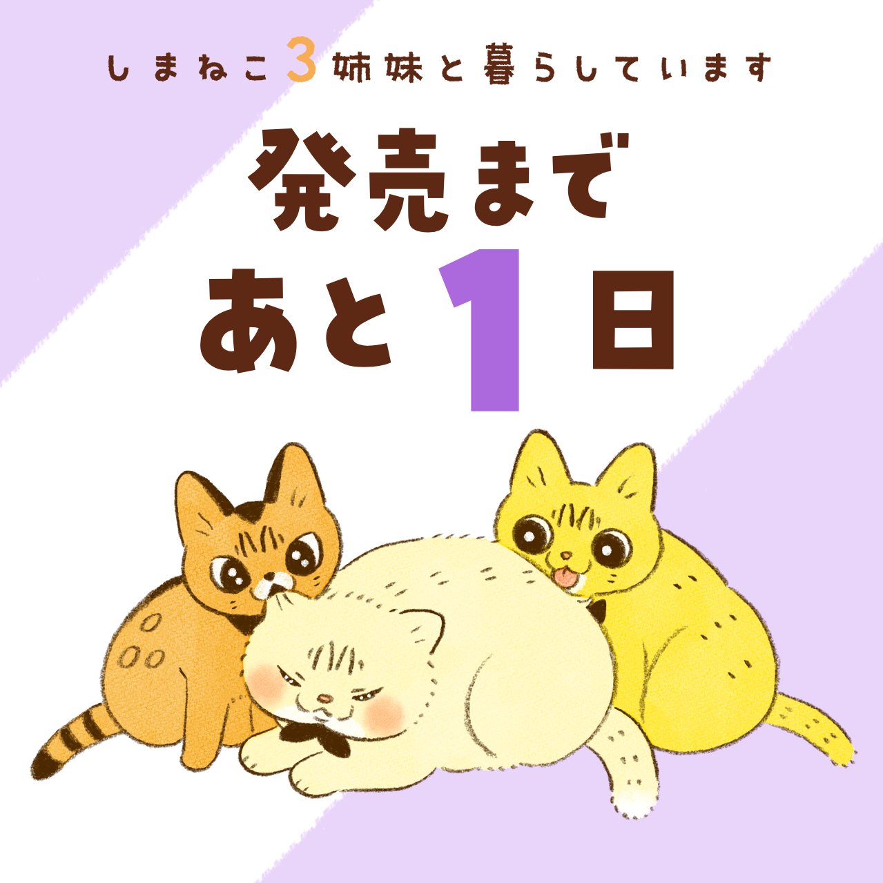 類🐱しまねこ発売中 on Twitter: