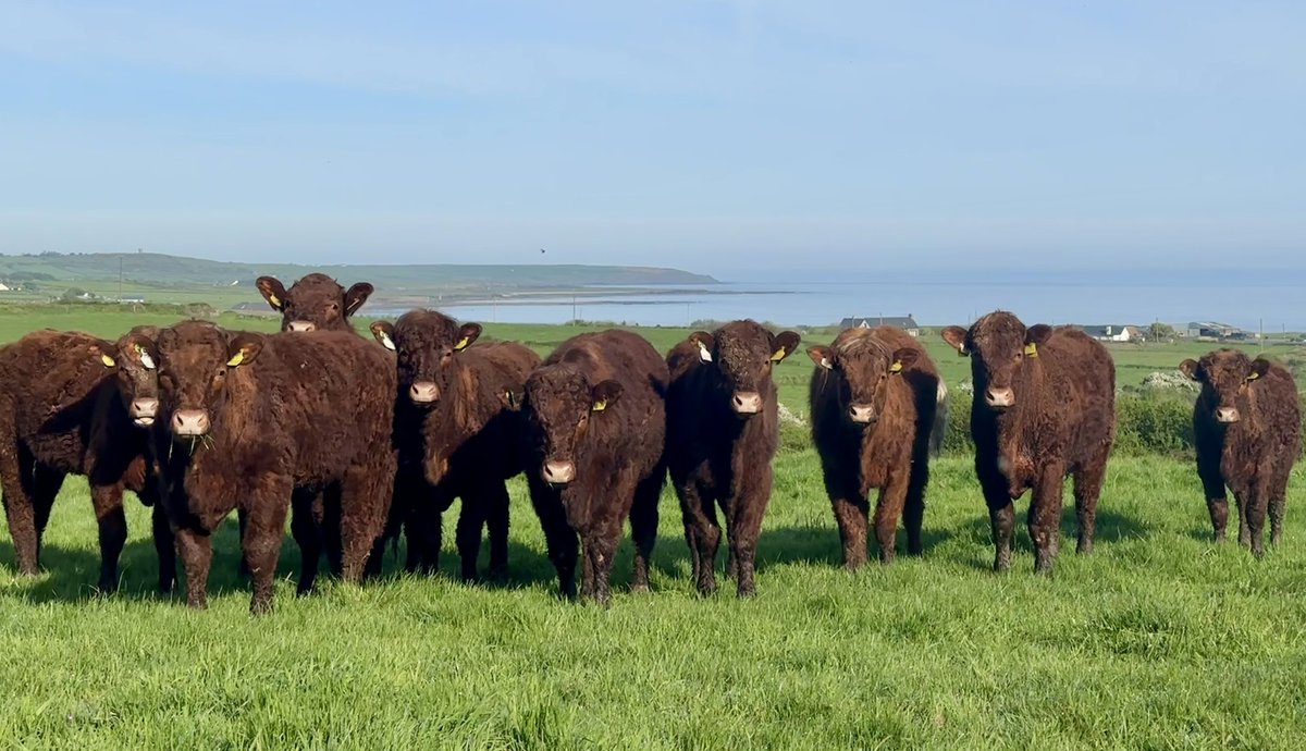 Niall Hunt tweet media