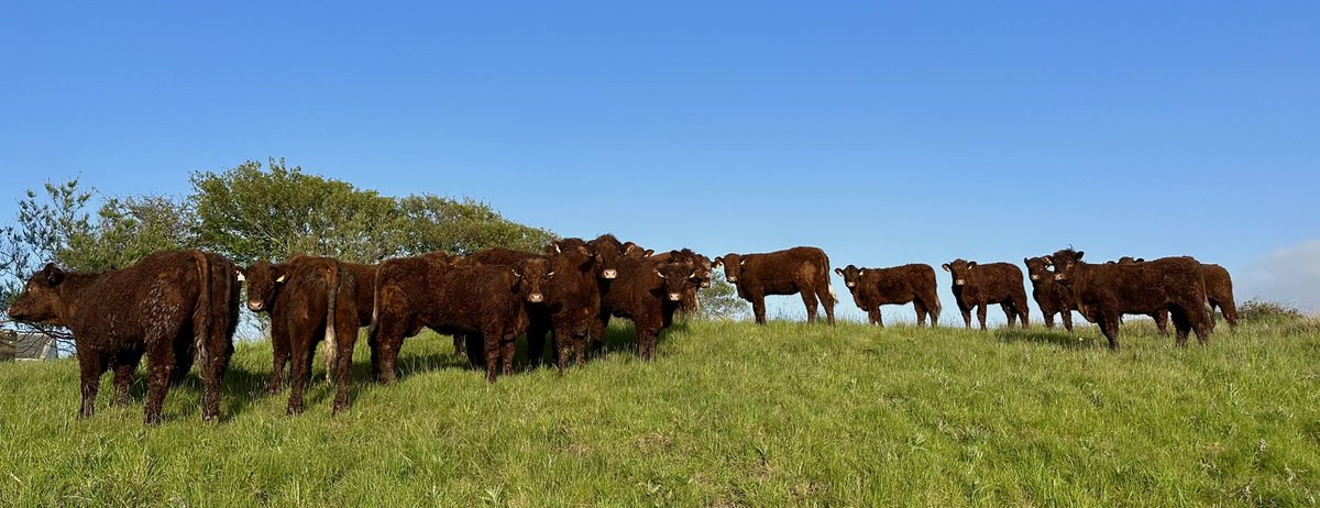 Niall Hunt tweet media