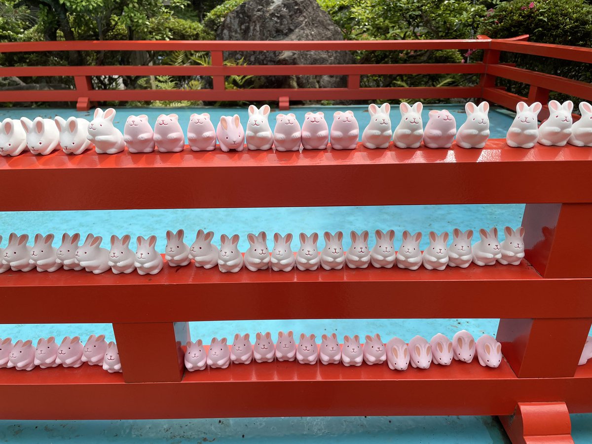 岡崎神社

たくさんのうさぎの置物と沢山の参拝者がいました。

御朱印を拝借して推しと記念撮影しました📸

#岡崎神社
#京都
#御朱印