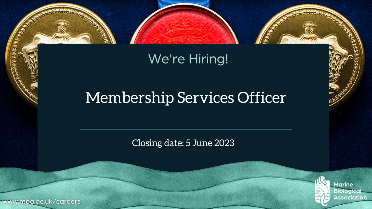 thembauk's tweet photo. We've extended the deadline for our #Membership Services Officer post to 5 June!
Could you help deliver a high quality service to current and prospective Members of @thembauk? Find out more and apply online:
https://t.co/WU8BQyUajP #PlymouthJobs #JobAlert #MBAMember https://t.co/hSMmONOvBx