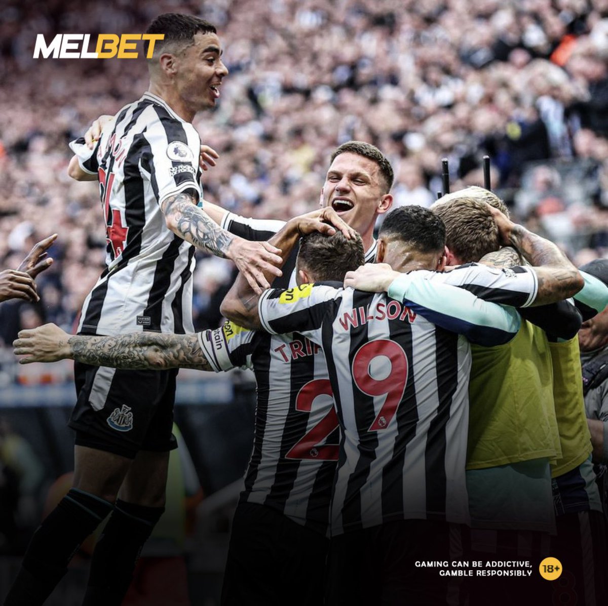 🤍🖤 Newcastle dreams of Champions League glory! 🤩
#Newcastle #ChampionsLeague #FootballDreams #Melbet