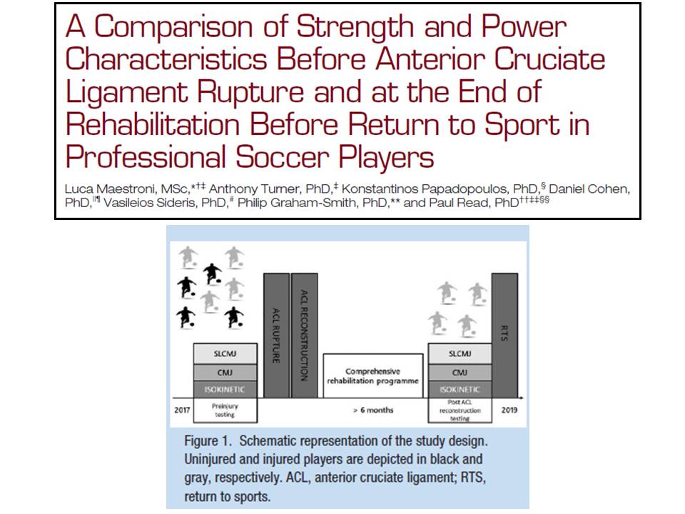 Luca Maestroni tweet media
