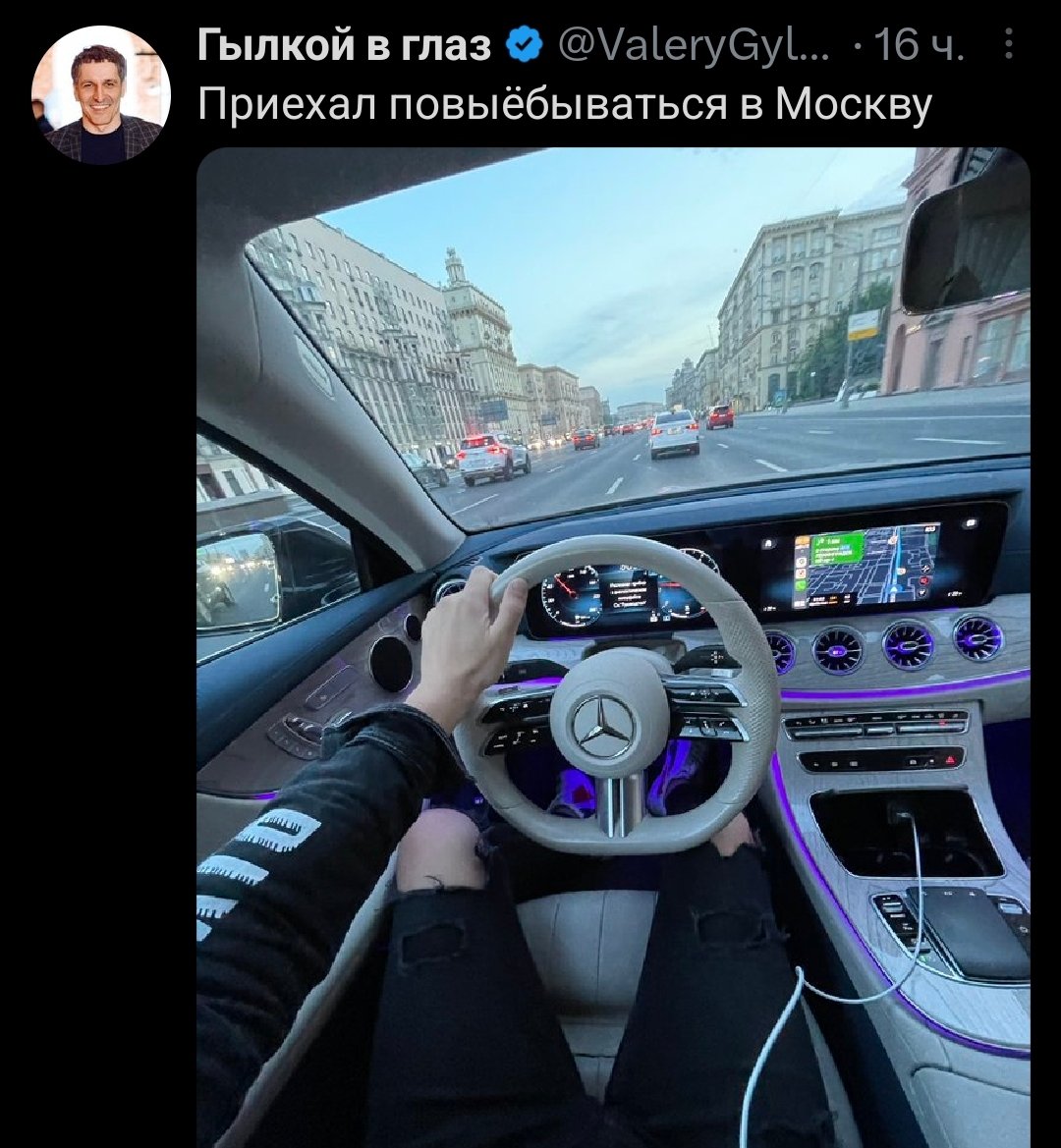 Ⓜ. Loginov 🐴🦅 tweet media