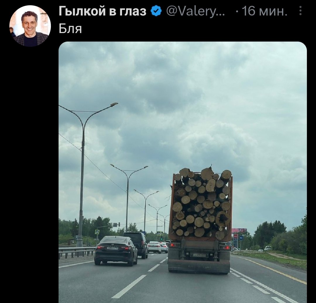 Ⓜ. Loginov 🐴🦅 tweet media