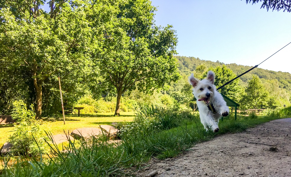 Croeso i RhCT | Visit RCT tweet media