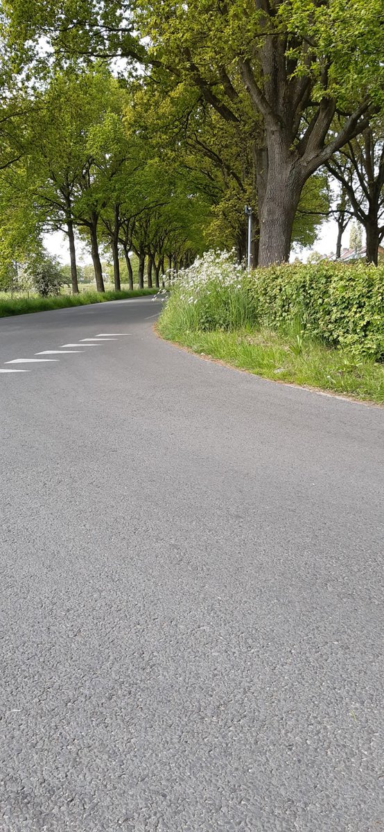 Frou_Postma's tweet photo. @tdiel Eastermar útride is no net feilich! Men moat earst de dyk opride ear't it oare ferkear sjoen wurdt. Linker foto sicht rjochting Sumar, rochts nei Rottefalle. https://t.co/VLSaYFGC4B