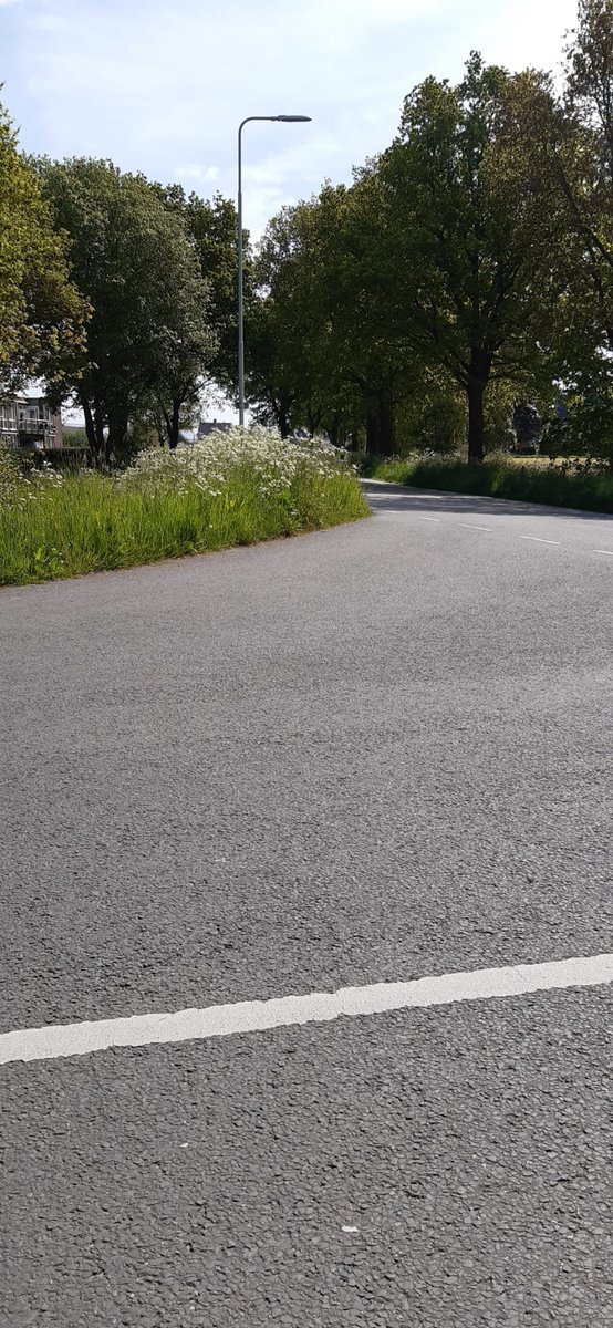 Frou_Postma's tweet photo. @tdiel Eastermar útride is no net feilich! Men moat earst de dyk opride ear't it oare ferkear sjoen wurdt. Linker foto sicht rjochting Sumar, rochts nei Rottefalle. https://t.co/VLSaYFGC4B