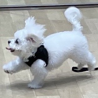 O1II2E's tweet image. 머지....
종천러 종대갈 
아무리 부녀사이라지만 
너무닮았네잉...