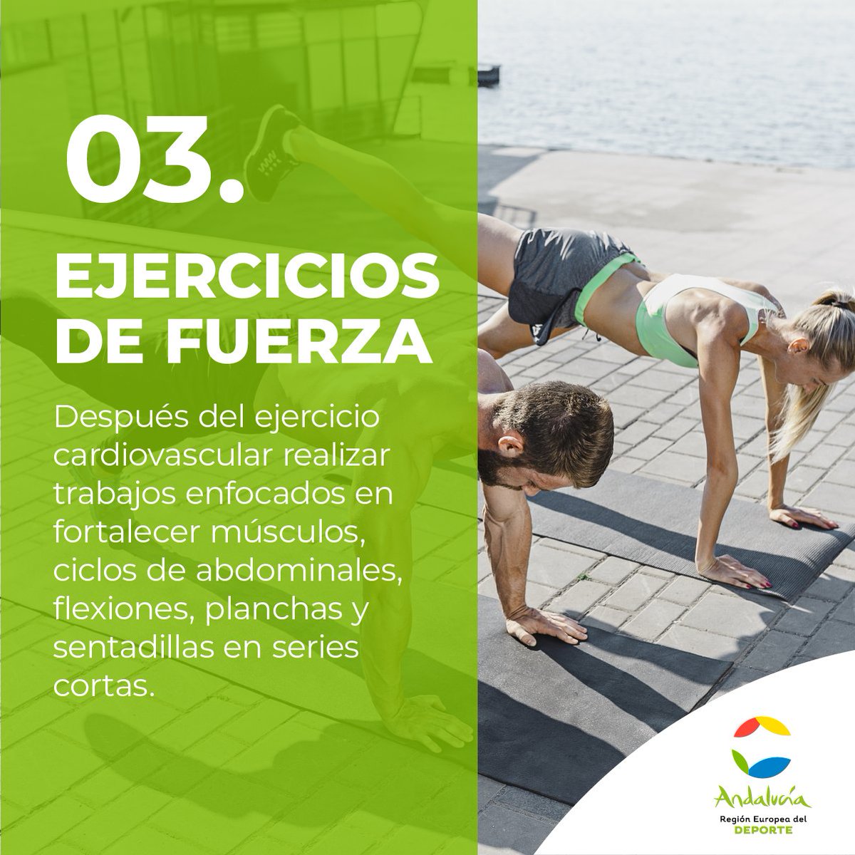 DeporteAND's tweet photo. ✔ Un correcto plan de #ejercicios es fundamental para evitar #lesiones. 

¡4 Tips de las etapas más importantes! ¿Sigues estas #rutinas? 💪

#AndalucíaElLugarDelDeporte #Andalucía https://t.co/ZSzSgnxnDO