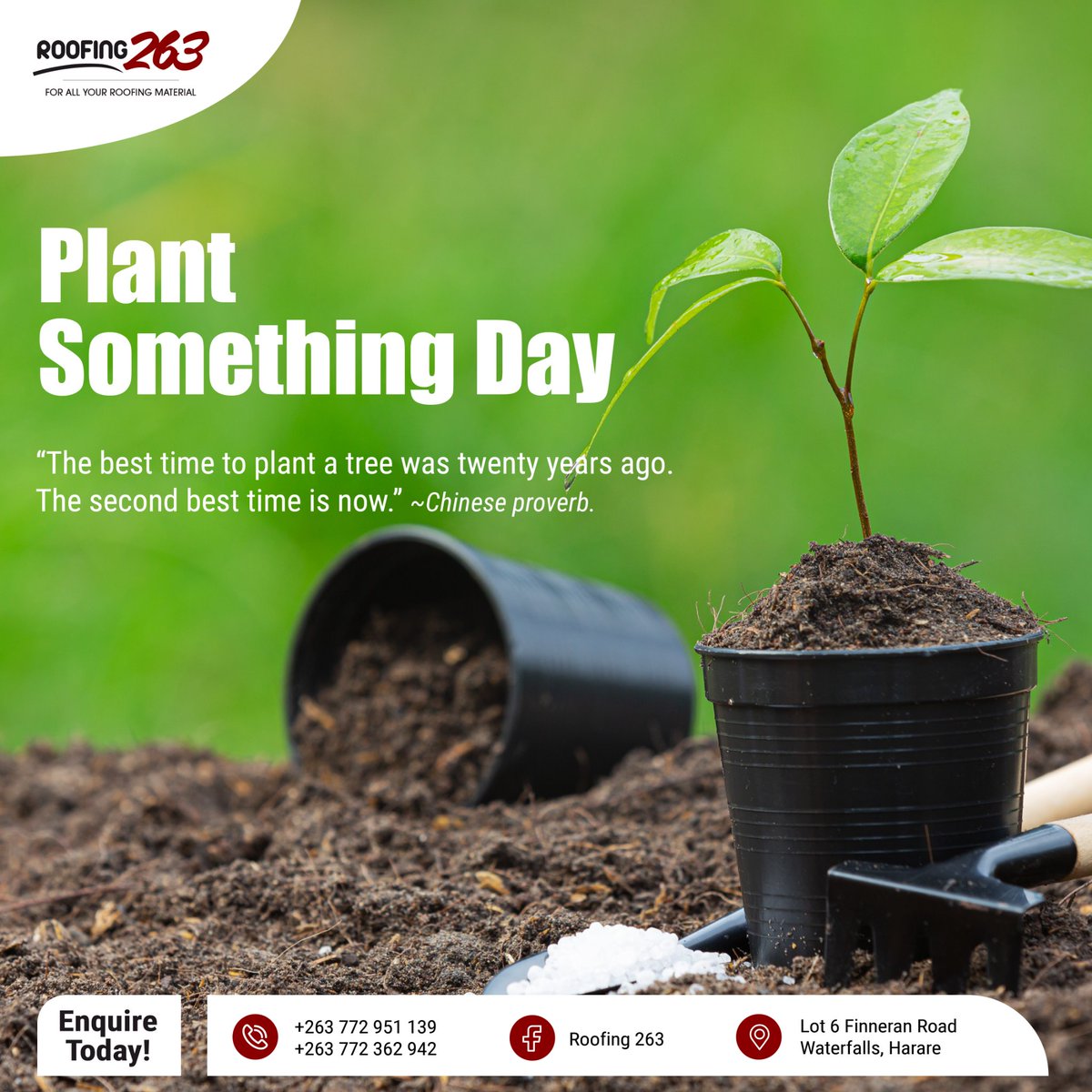 roofing263's tweet photo. Did you know that today is PLANT SOMETHING DAY? We are committed to a green economy and encourage all our customers and stakeholders to plant a tree this weekend and make a difference to our environment ๐๐ณ
#greeneconomy #plantsomethingday #roofingleaders
#ibrsheets
#qtiles https://t.co/FSp4X81mdW