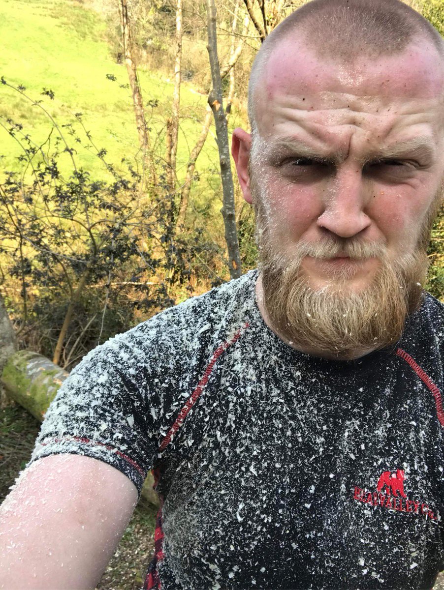 Three Atop Woodland Services tweet media