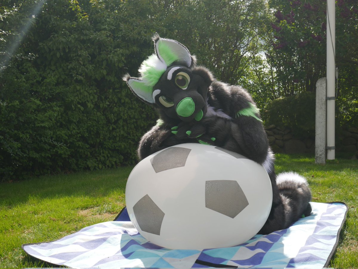 battery-fox🔋🦊🇩🇰 tweet media