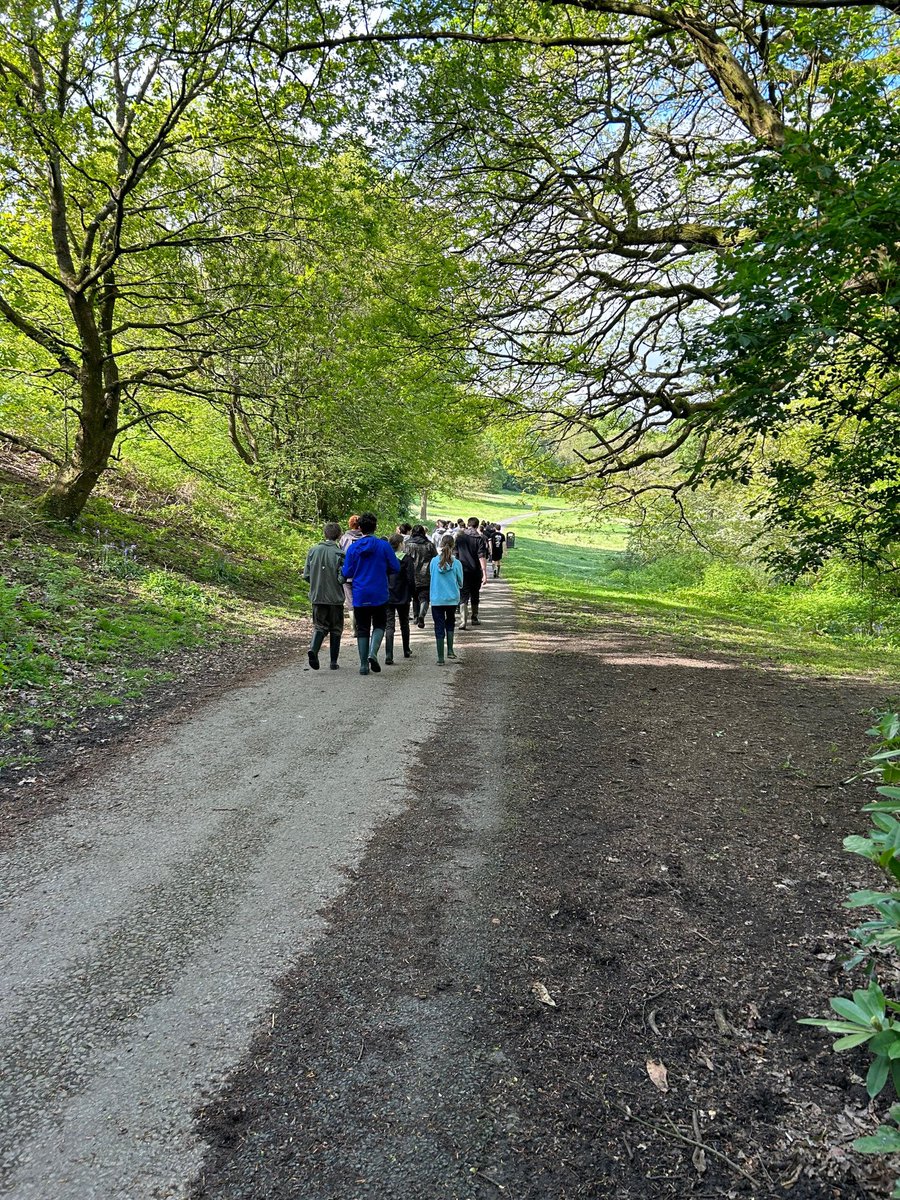 AlbanyAcademy: Year 10 GCSE Geography students conducting their river enquiry which forms part of their Geography GCSE. They visited the River Yarrow at Duxbury Woods to measure width, depth and velocity of the river. 
 #geographygcse #nature #geographyt…