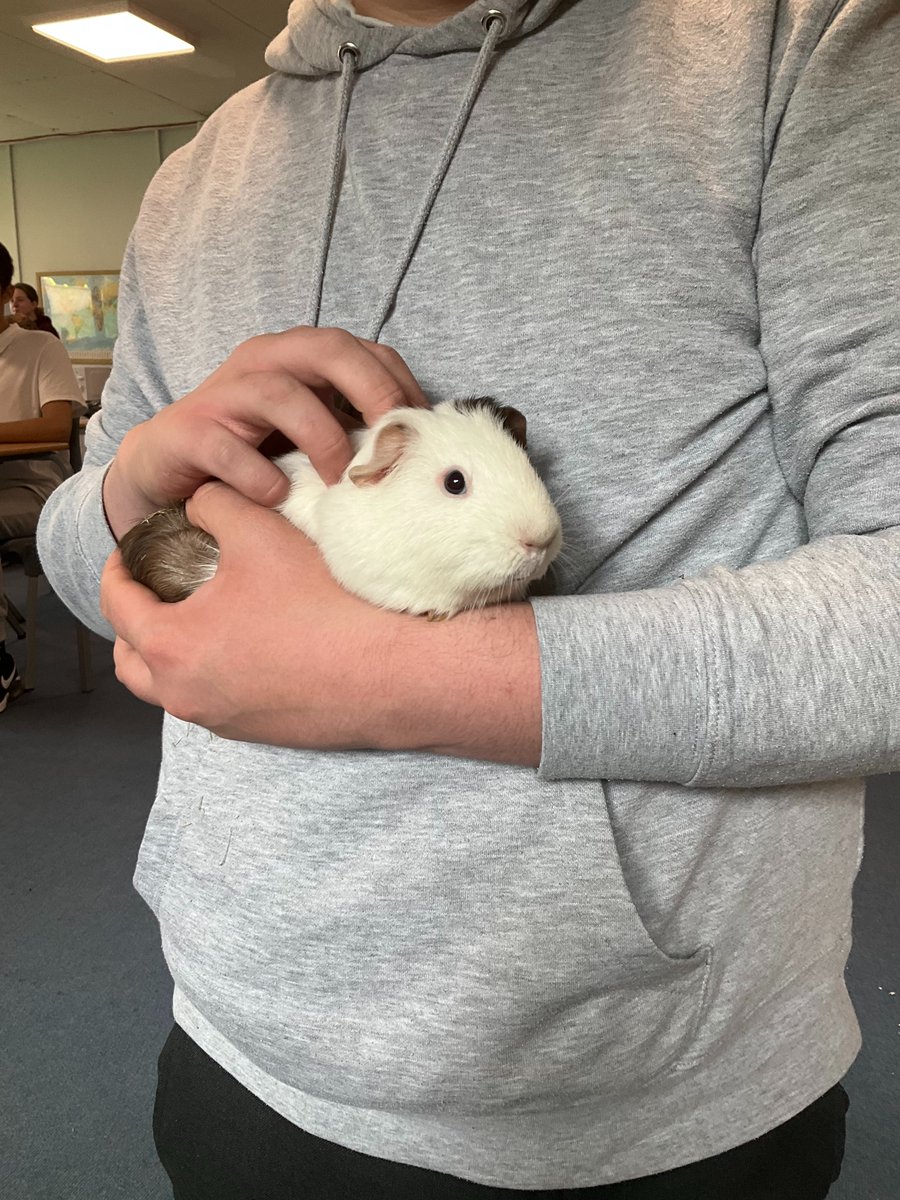 Blue Tangerine Federation tweet media