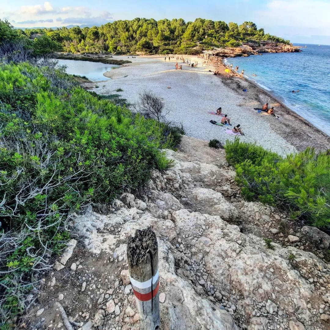 terresebretur's tweet photo. 🐚 Si vous empruntez le #GR92 entre L’Ametlla de Mar et L’Ampolla, vous découvrirez une recoin naturel privilégié, la crique de Santes Creus avec la présence d’un petit étang.

📸 eduard_v_a, rosa_aina, pepec43

@ametllademartur #TerresdelEbre https://t.co/dIn4wRNU0f
