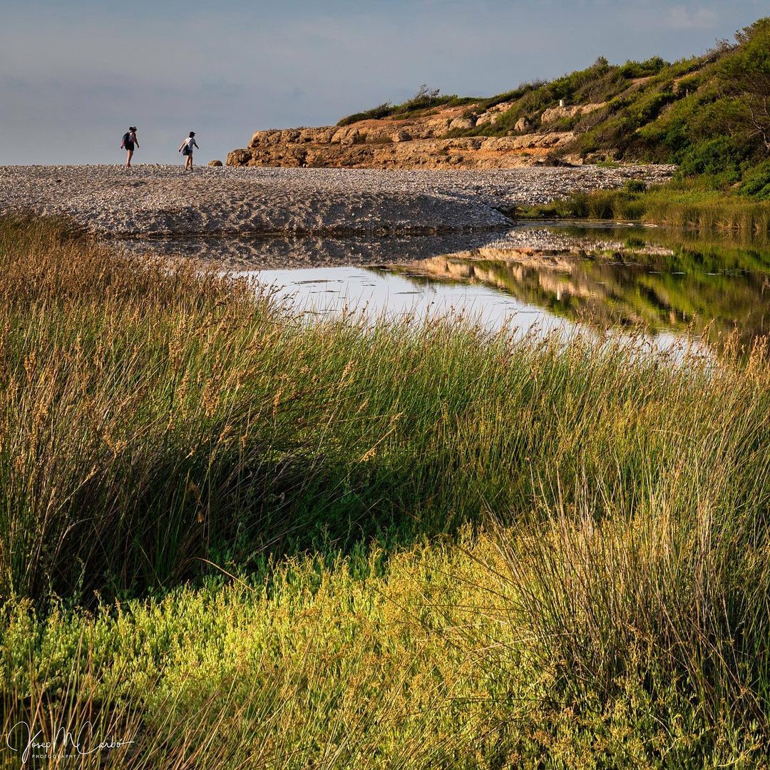 🐚 Si vous empruntez le #GR92 entre L’Ametlla de Mar et L’Ampolla, vous découvrirez une recoin naturel privilégié, la crique de Santes Creus avec la présence d’un petit étang.

📸 eduard_v_a, rosa_aina, pepec43

<a href="/ametllademartur/">L'Ametlla de Mar Tur</a> #TerresdelEbre