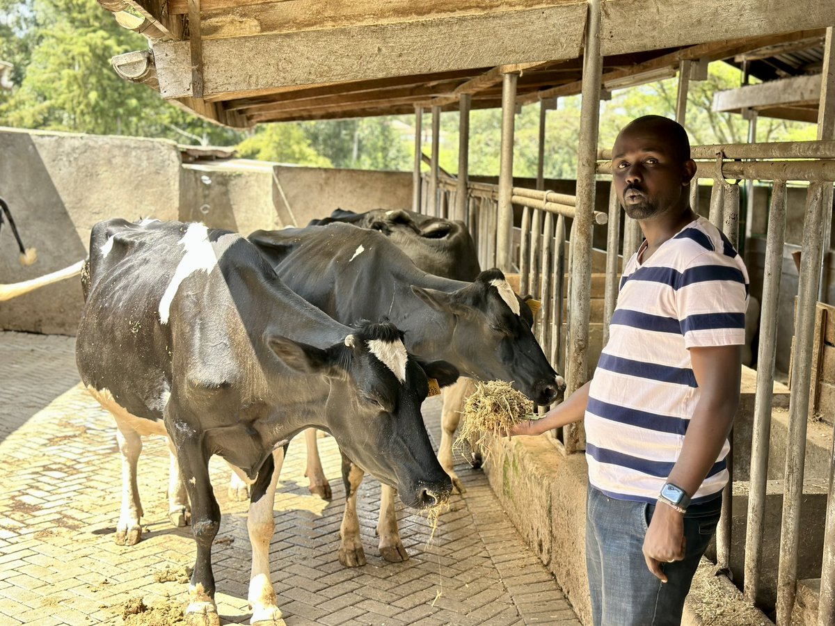 rodgers_kirwa's tweet image. Farming isnt just a job but a way of life…This is the way of life I chose 👌.

Love what you do and make it an habit.

Ukulima ni fun. 👌

#𝐀𝐠𝐫𝐢𝐛𝐮𝐬𝐢𝐧𝐞𝐬𝐬𝐓𝐚𝐥𝐤𝟐𝟓𝟒
#𝐌𝐛𝐨𝐥𝐞𝐚𝐍𝐢𝐘𝐚𝐫𝐚
