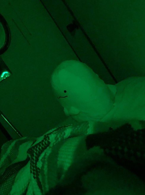 落ち込むぬいぐるみ (@depressed_nui) on Twitter photo 