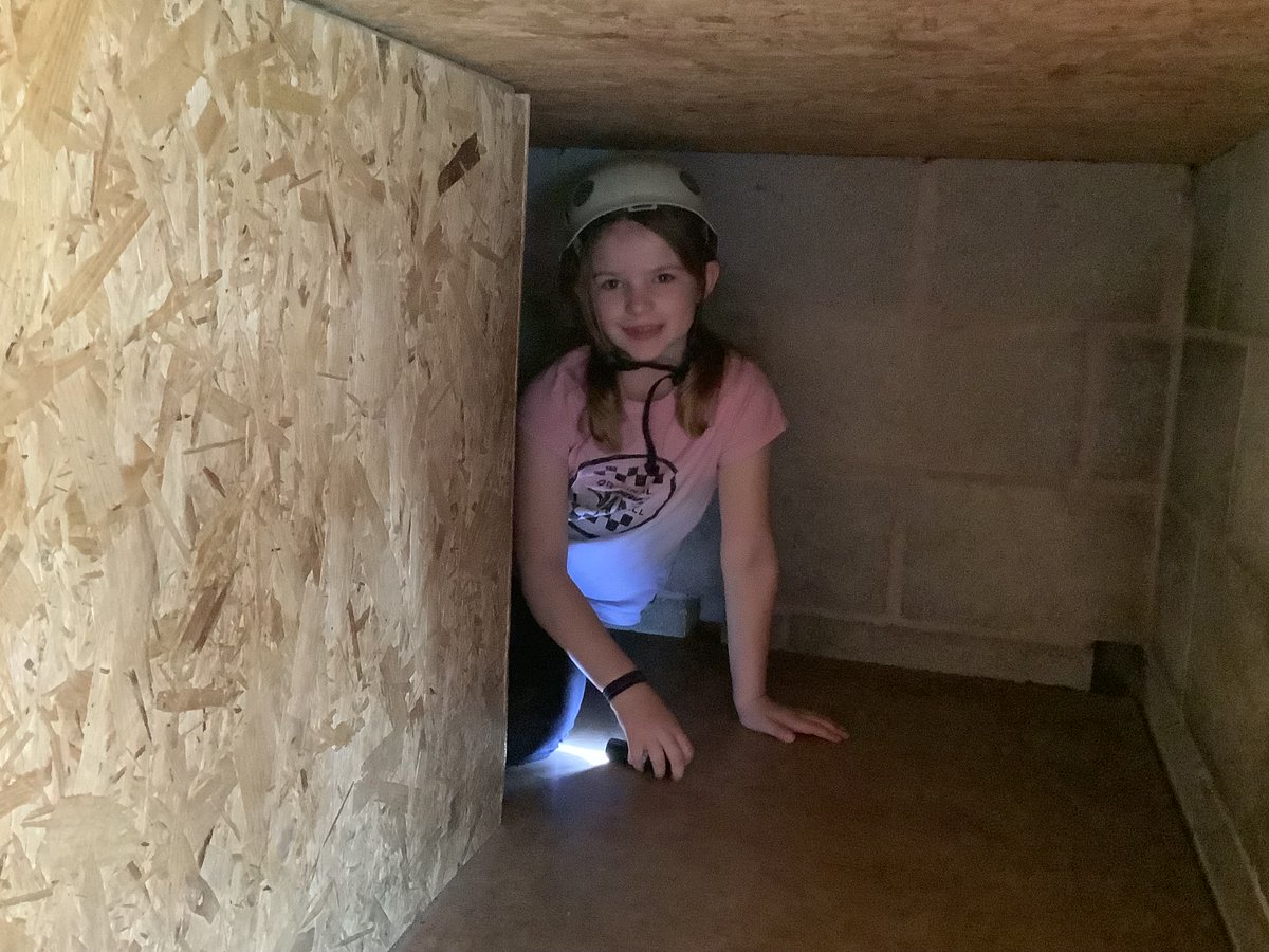 NGHSJuniors's tweet image. Year 3 are navigating the cave maze now! Non stop fun! @WalesbyForest #activefun