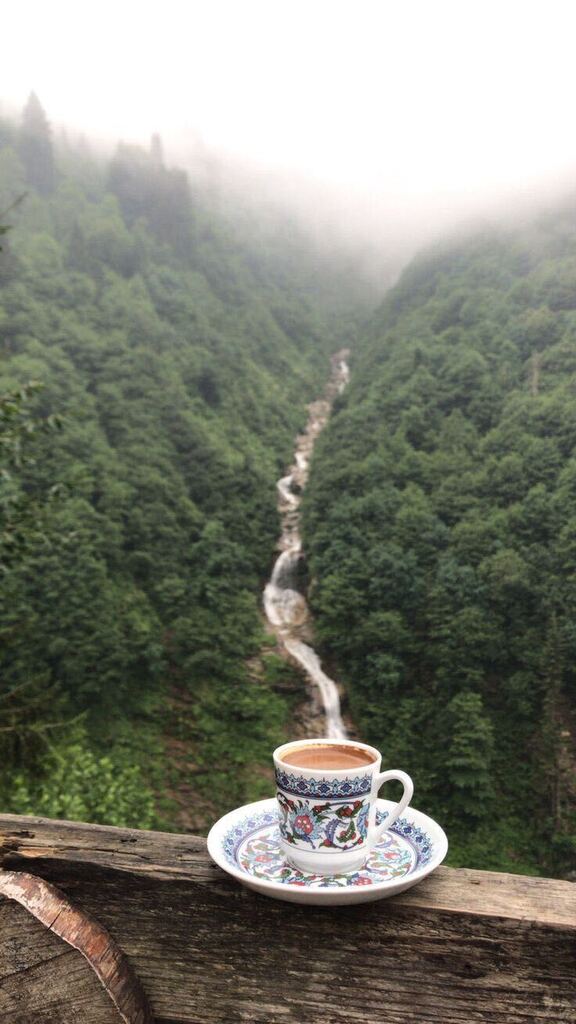 homebrewcoffees's tweet photo. beautiful https://t.co/WV2IWdXK6M