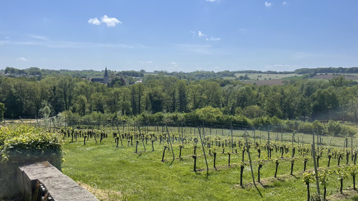 ⁦<a href="/magnifiekZL/">Magnifiek Zuid-Limburg</a>⁩ prachtig rondom Noorbeek