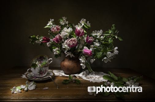 photocentra's tweet photo. https://t.co/GLIVaewAYu May Blossom - Tatjana (Tata) #still-life #tulips #photographer #photography #photocommunity #photocentra #still https://t.co/RqvpkgKiJo
