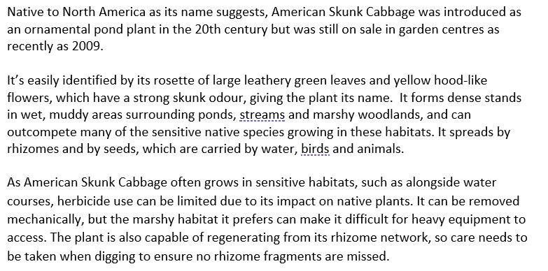 ERSremediation's tweet photo. The final garden escapee featuring in our #InvasiveSpeciesWeek series is American Skunk Cabbage. See the text pic for more info on this invasive plant threatening sensitive marshy habitats across Scotland.

#invasiveweeds #invasivespecies #INNS #americanskunkcabbage #skunkcabbage https://t.co/yoyYMaANQY