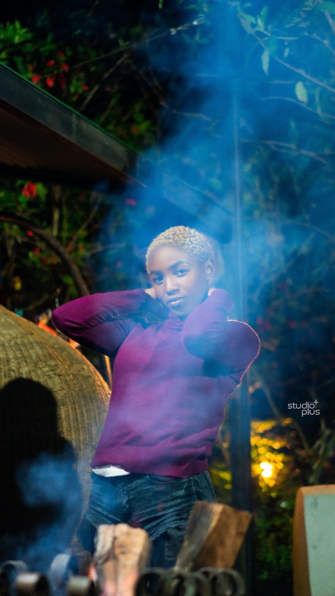 Studio Plus tweet media