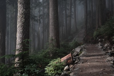 📌Howe Sound Crest Trail, West Vancouver, Canada 📷Derrick Cooper  #nature #hourlyNature #nomaddream #wonderlust #travel
